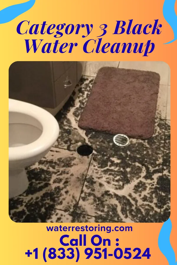 Category 3 Black Water Cleanup in Harrah, OK