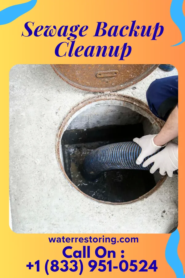 Sewage Backup Cleanup in Harrah, OK
