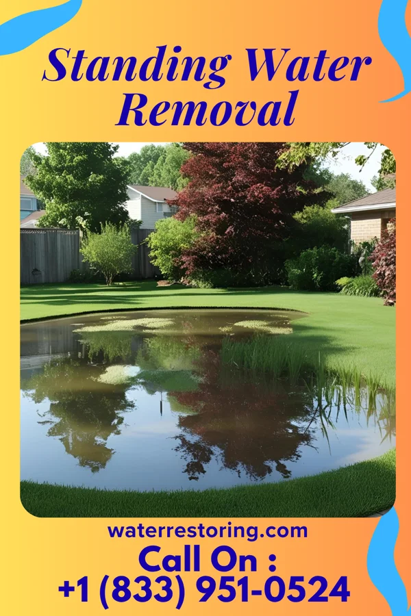 Standing Water Removal in Harrah, OK